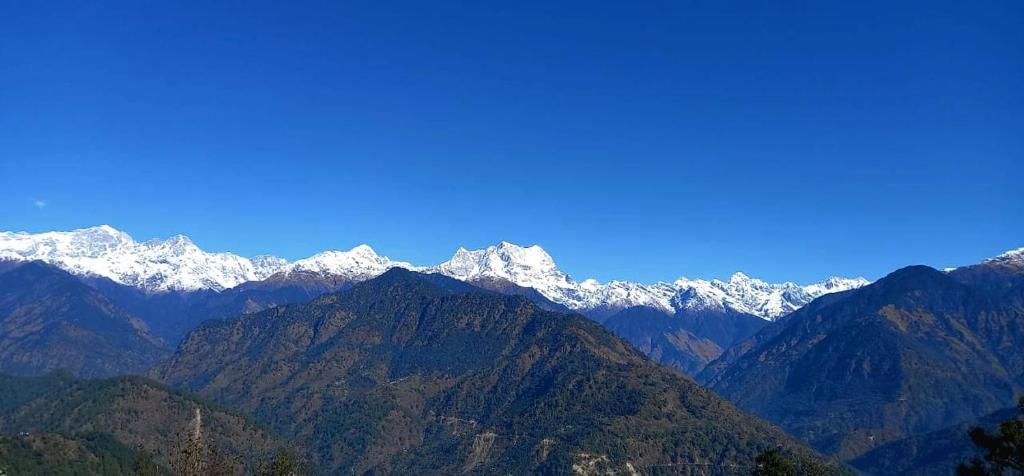 Snow-capped Panch Kedar peaks above the sanctuary